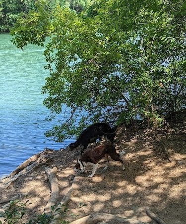 Red Bud Isle