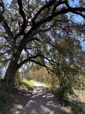 Shoal Creek Greenbelt