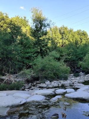 Shoal Creek Greenbelt
