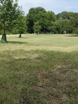 Shoal Creek Greenbelt
