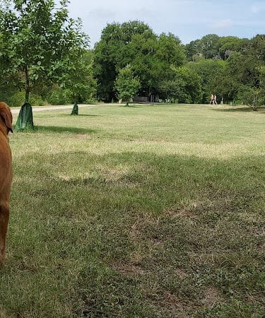 Shoal Creek Greenbelt
