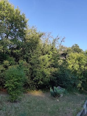Shoal Creek Greenbelt