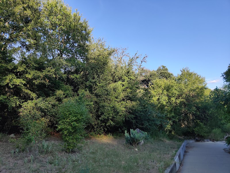 Shoal Creek Greenbelt - Austin, TX