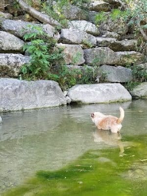 Shoal Creek Greenbelt