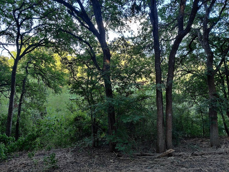 Shoal Creek Greenbelt - Austin, TX