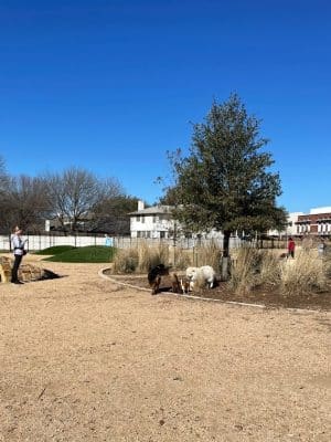 WB MUD Dog Park
