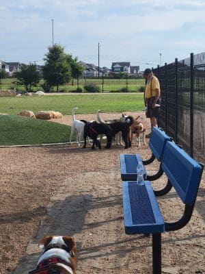 WB MUD Dog Park