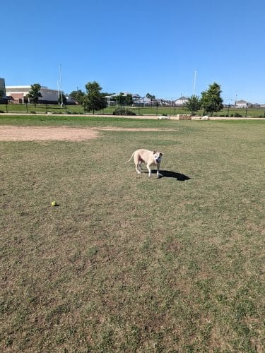 WB MUD Dog Park