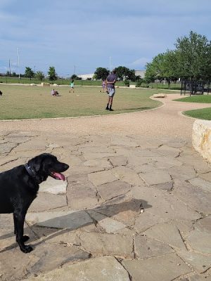 WB MUD Dog Park