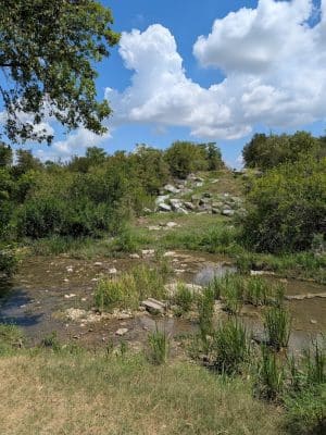 Onion Creek Doggy Park