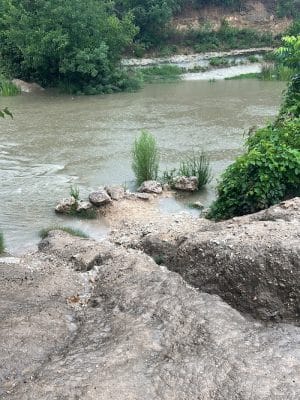 Onion Creek Doggy Park