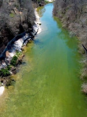 Onion Creek Doggy Park