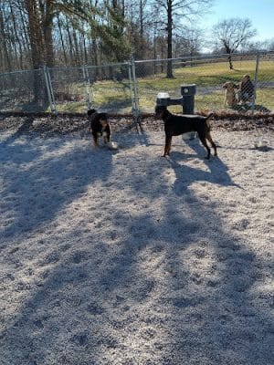 Avon Lake Dog Park