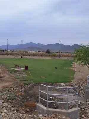 Avondale Festival Fields Dog Park