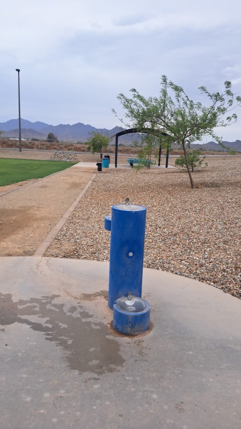 Avondale Festival Fields Dog Park - Avondale, AZ