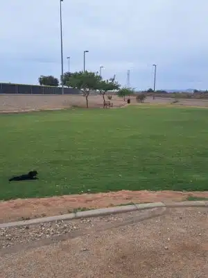 Avondale Festival Fields Dog Park