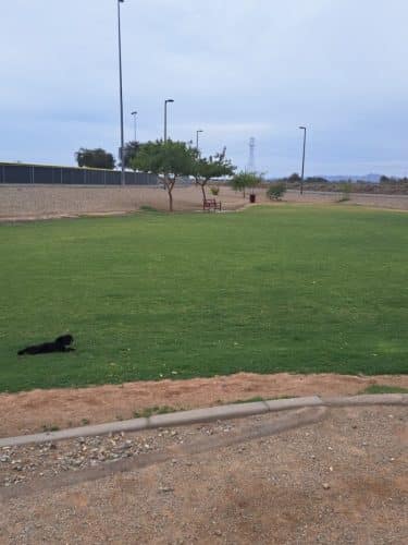 Avondale Festival Fields Dog Park