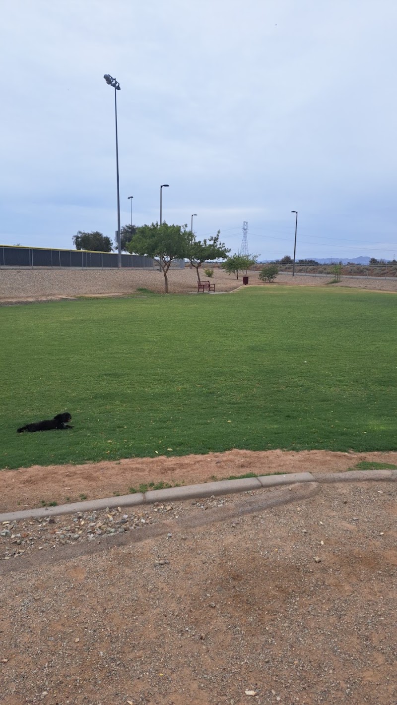 Avondale Festival Fields Dog Park - Avondale, AZ