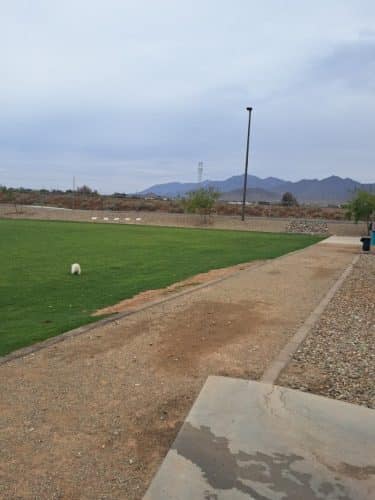 Avondale Festival Fields Dog Park