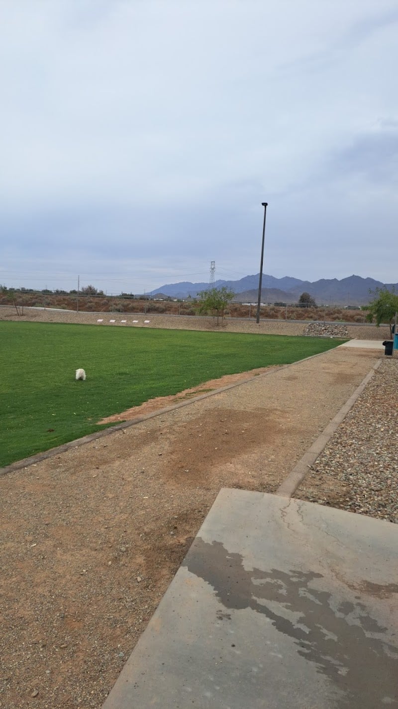 Avondale Festival Fields Dog Park - Avondale, AZ