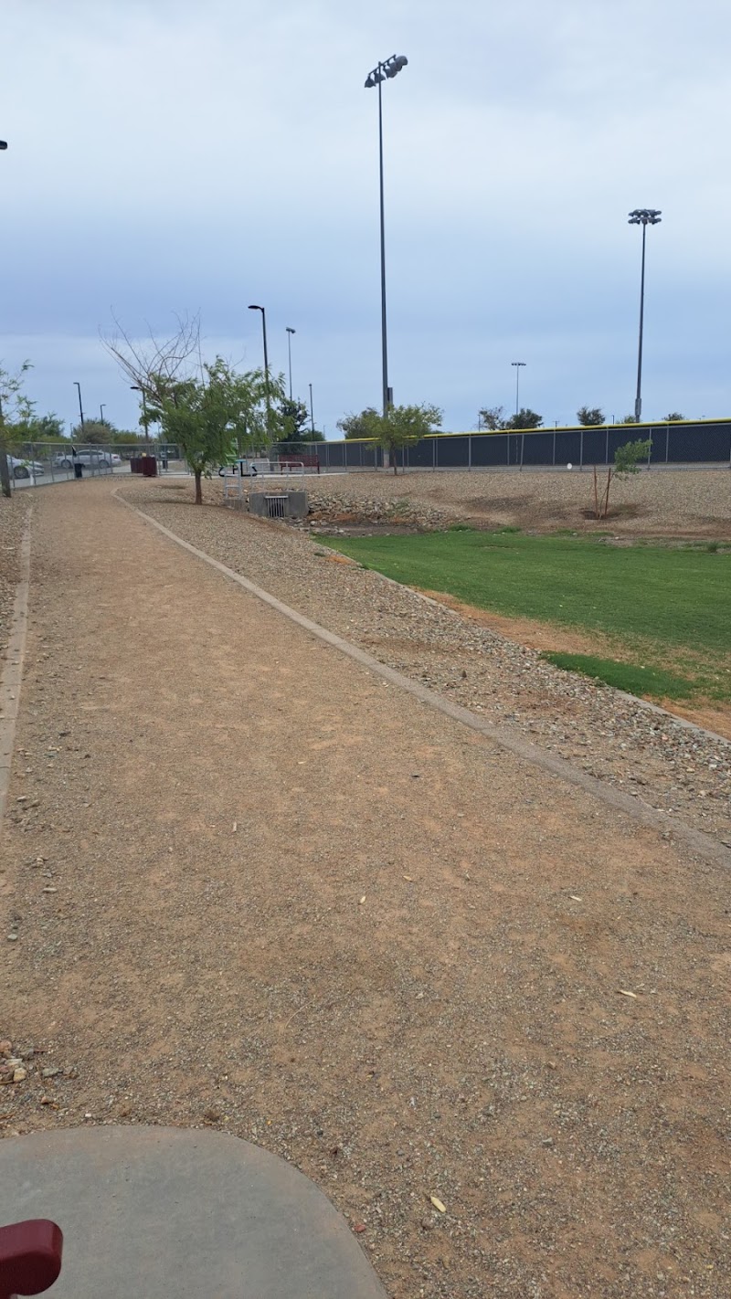 Avondale Festival Fields Dog Park - Avondale, AZ
