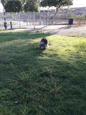 Friendship Park