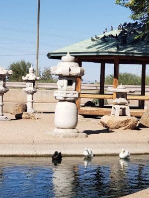 Friendship Park