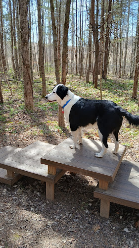 Paw Park - Axton, VA