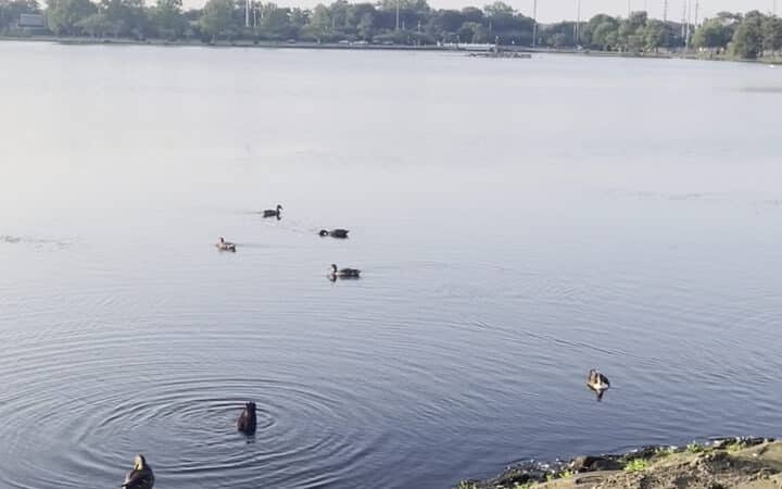 Argyle Lake Park - Babylon, NY