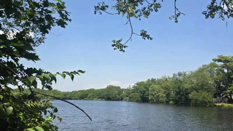 Southards Pond Park - Babylon, NY