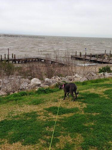 Bayshore Park