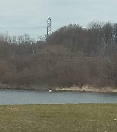 Casnovia Township Park - Bailey, MI