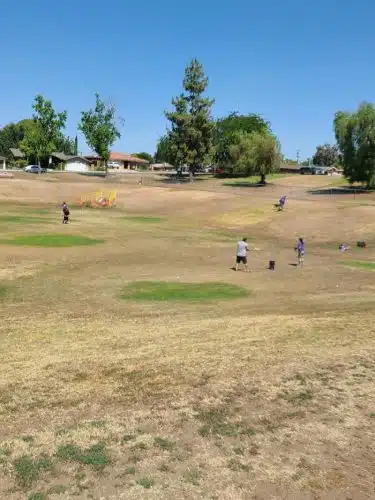 Dog Park