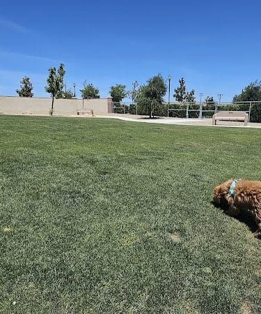 Highgate dog park - Bakersfield, CA