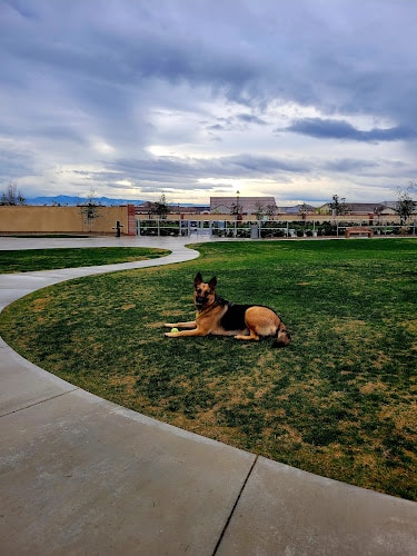 Highgate dog park - Bakersfield, CA