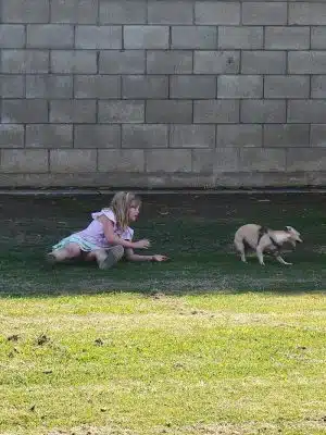 Krebs Dog Park - Bakersfield, CA