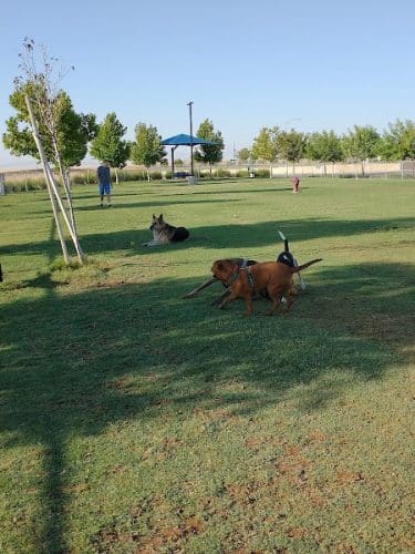 Mesa Marin Dog Park