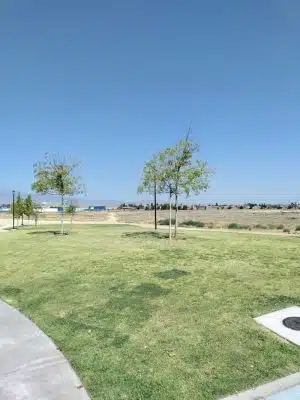 Mesa Marin Dog Park