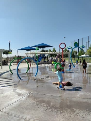 Mesa Marin Dog Park