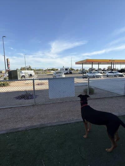 Dog Park at Love's Travel Stops - Bakersfield, CA