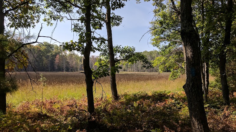 76th St Trailhead NCT - Baldwin, MI