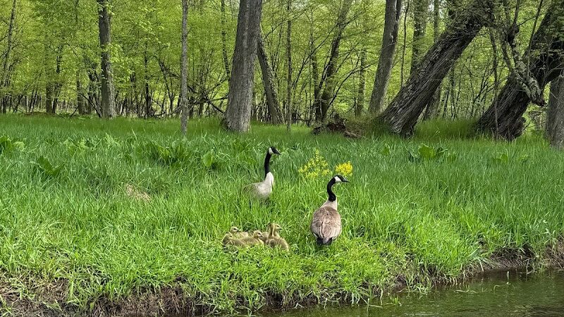 Baldwin Canoe Rental & RV Park - Baldwin, MI