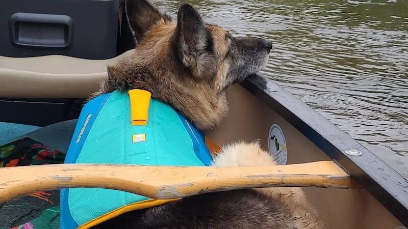 Baldwin Canoe Rental & RV Park - Baldwin, MI