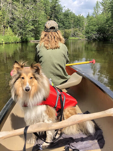 Baldwin Canoe Rental & RV Park