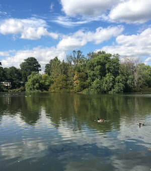 Milburn Pond Park