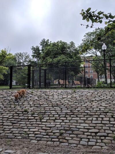 Howard Street Dog Park - Baltimore,