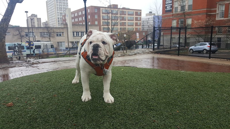Howard Street Dog Park - Baltimore,