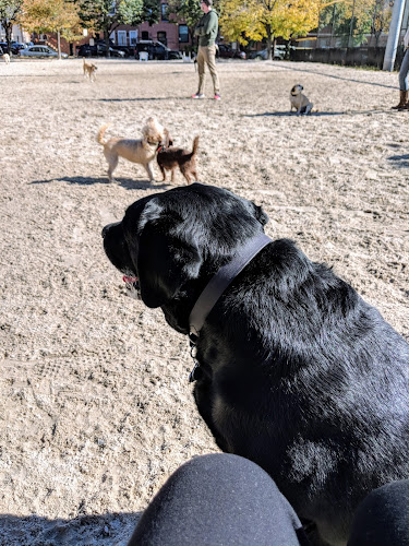 Canton Dog Park