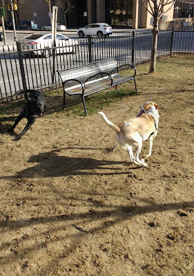 Liberty Dog Park