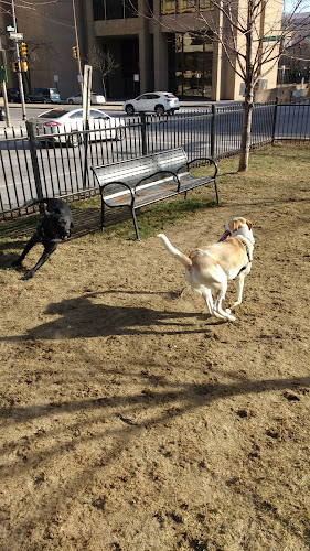 Liberty Dog Park